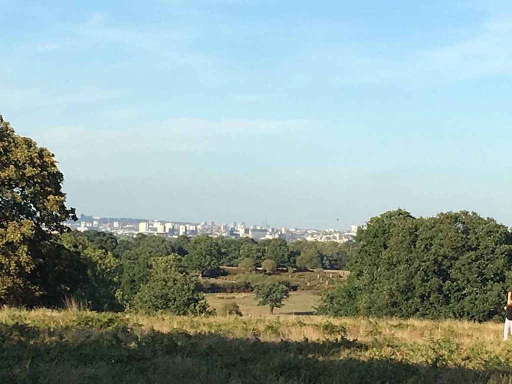 Najlepsze punkty widokowe w Londynie - widok na miasto z Richmond Park